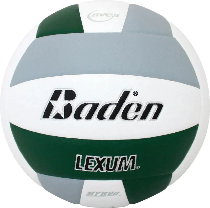 Baden Microfiber Volleyball VX450C