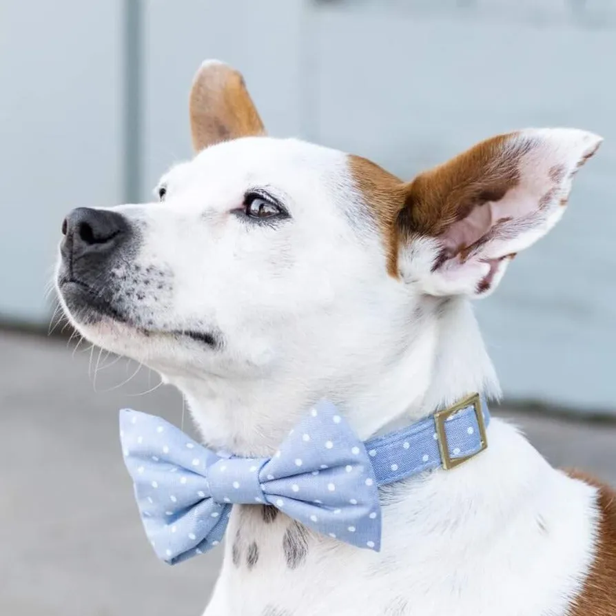 Chambray Dots Bow Tie Collar