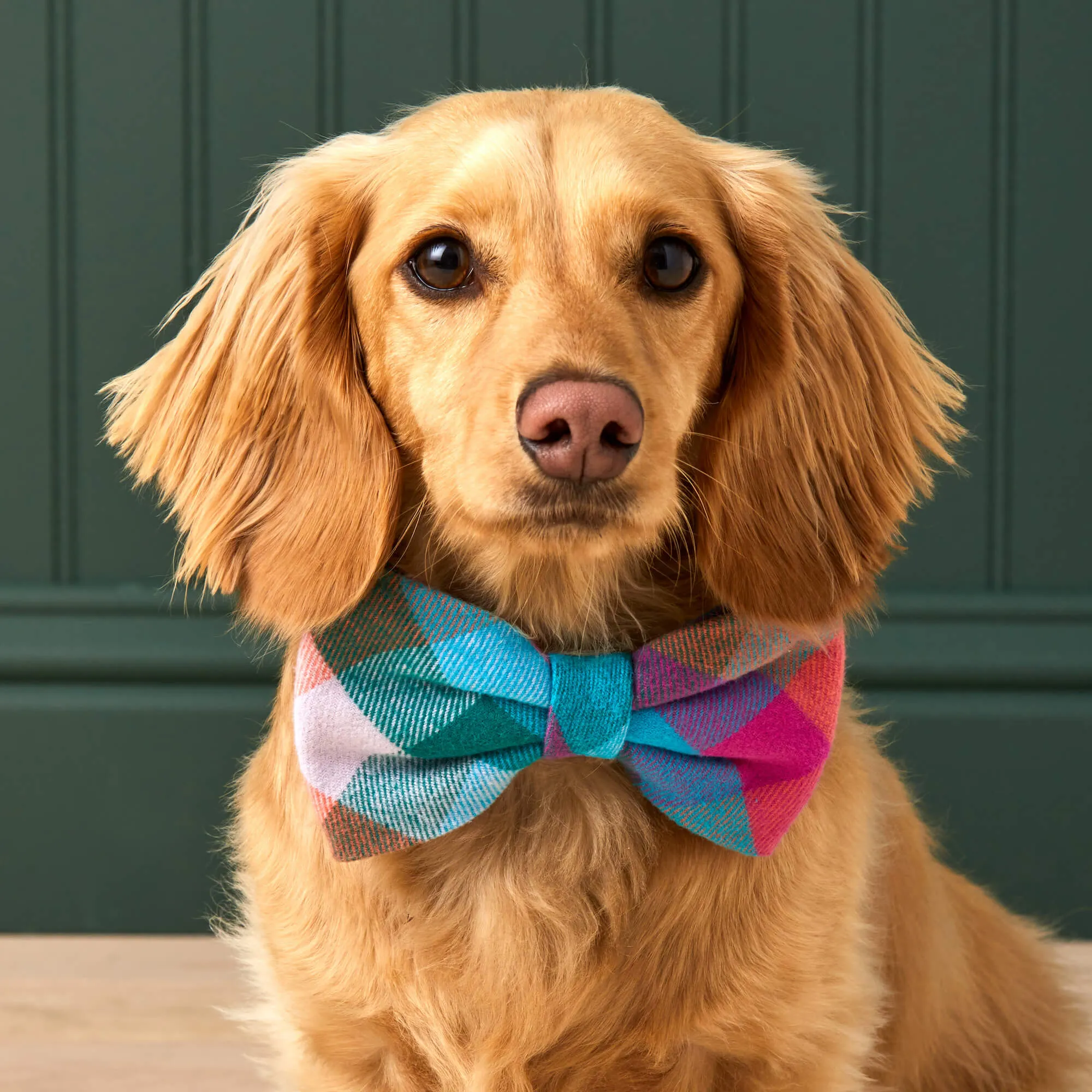 Color Pop Plaid Flannel Bow Tie Collar