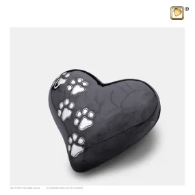 LovePaws™ Pearlescent Midnight (Keepsake Heart) - P640K