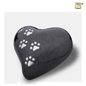 LovePaws™ Pearlescent Midnight (Medium Heart) - P640M