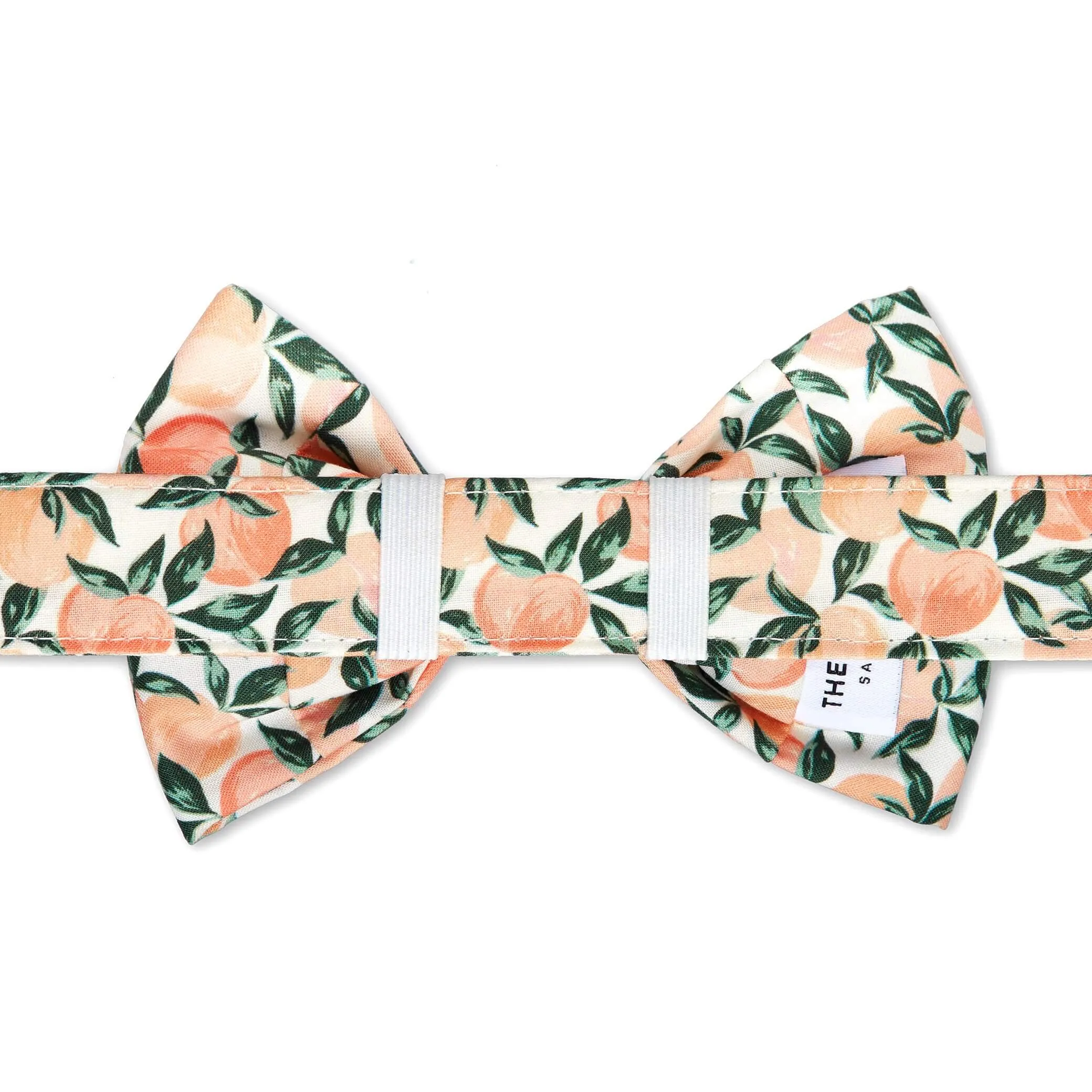 Peaches and Cream Bow Tie Collar