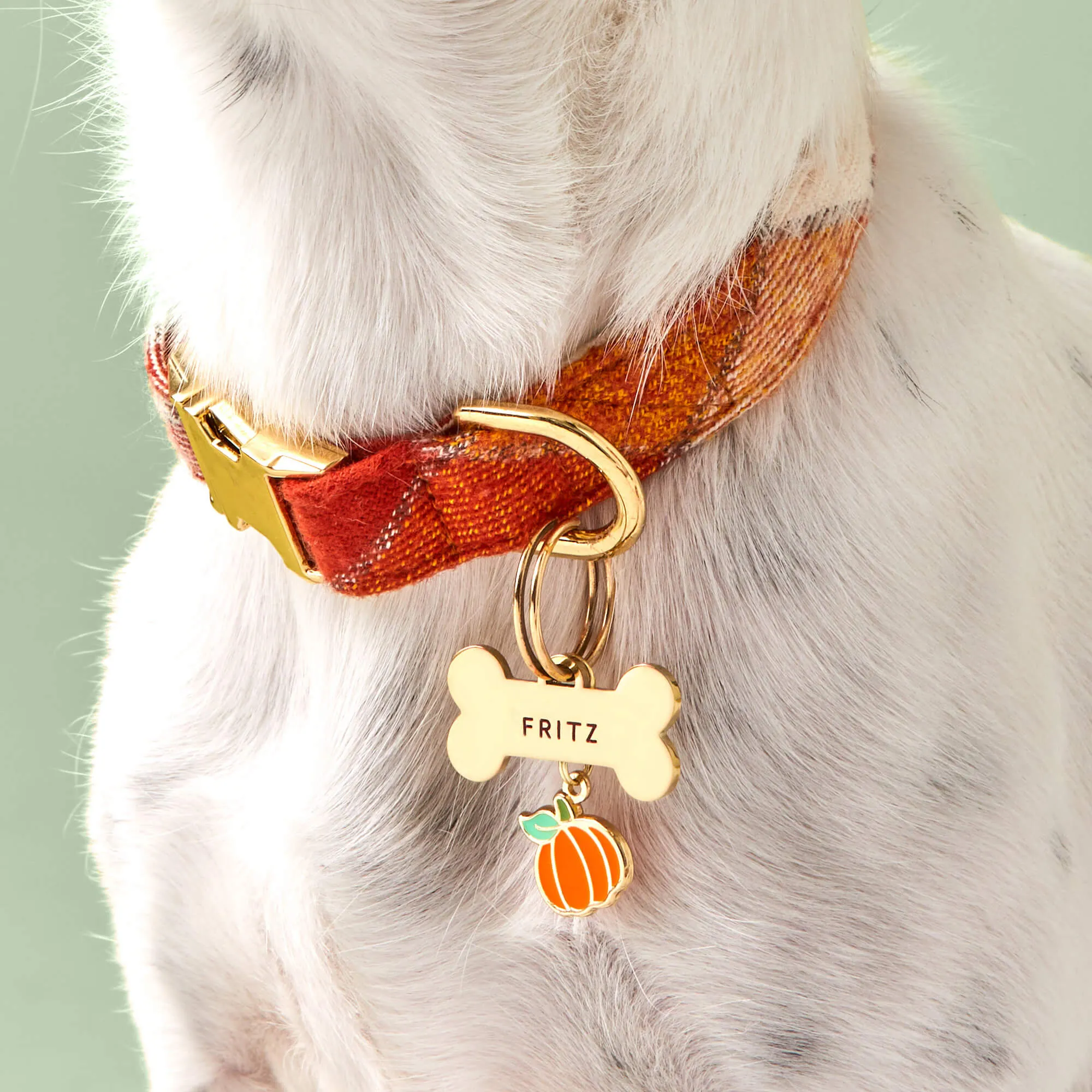 Pumpkin Spice Plaid Flannel Dog Collar