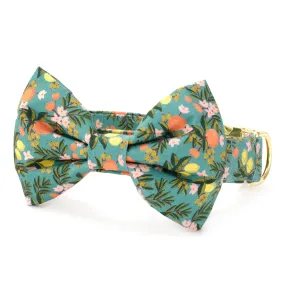 Rifle Paper Co. x TFD Citrus Floral Bow Tie Collar