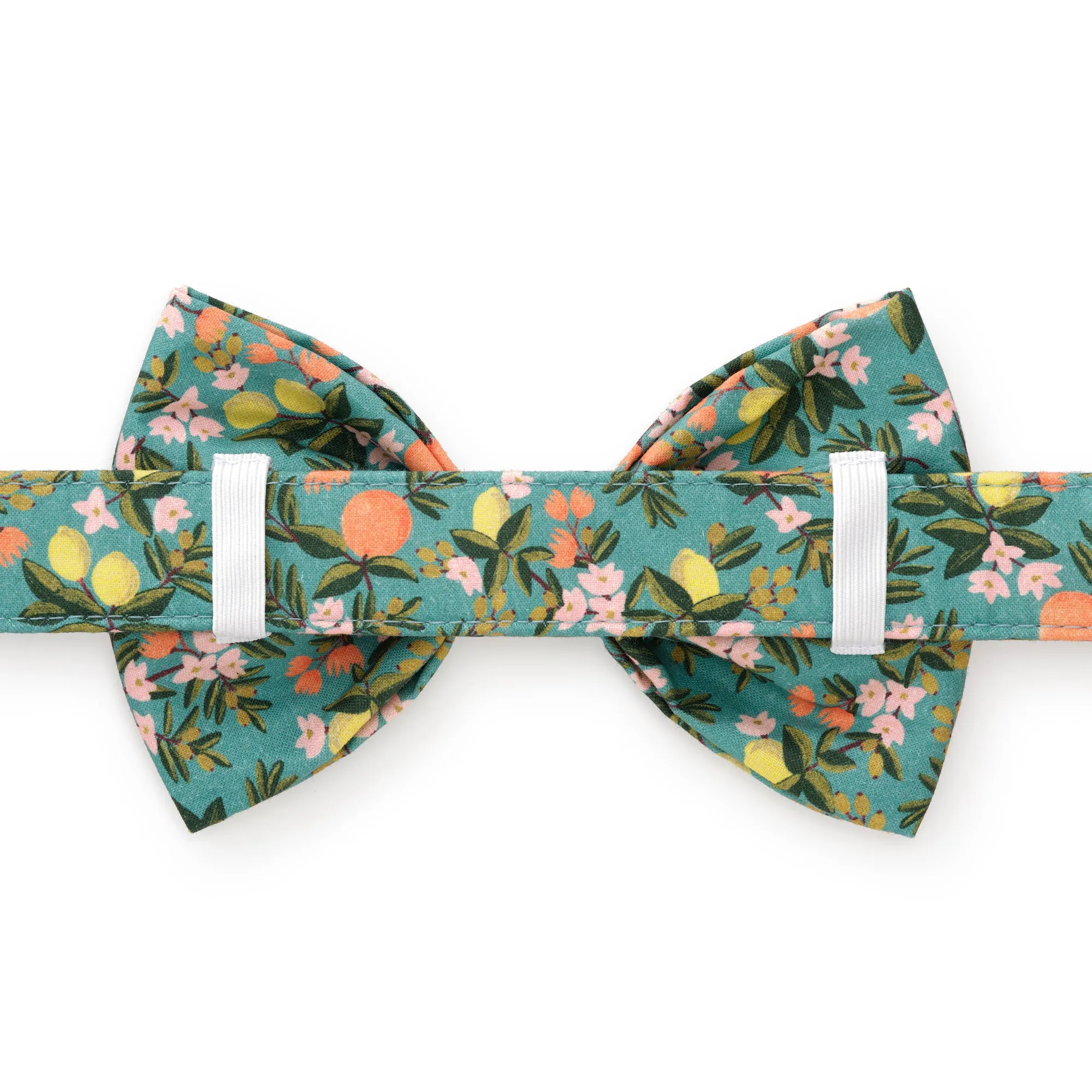 Rifle Paper Co. x TFD Citrus Floral Bow Tie Collar