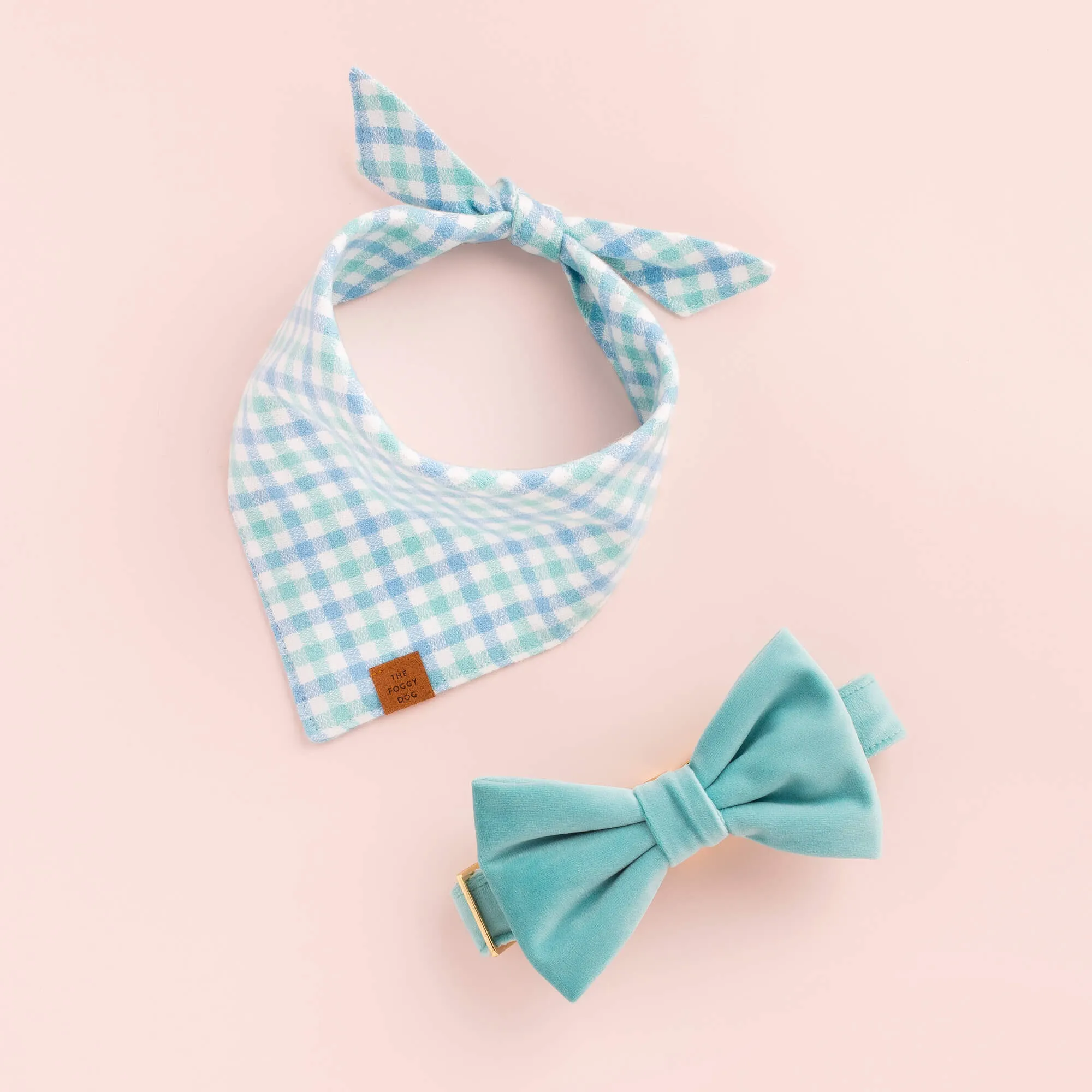 Robin’s Egg Velvet Bow Tie Collar