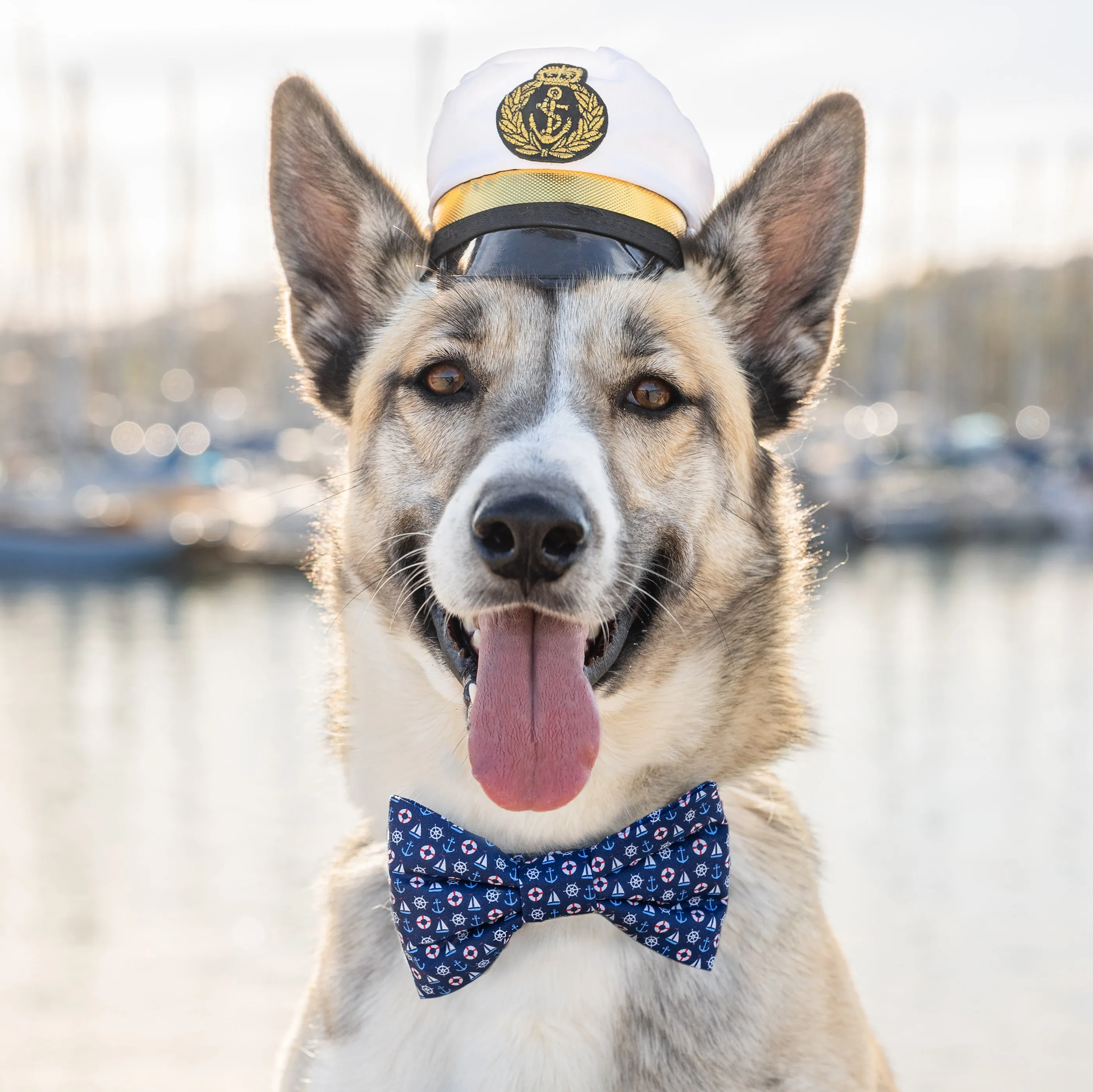 Sail Away Bow Tie Collar